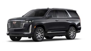 Esclalade Premium Luxury Platinum