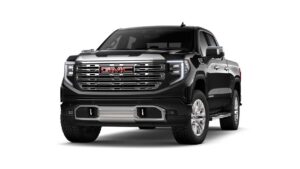 Sierra Denali